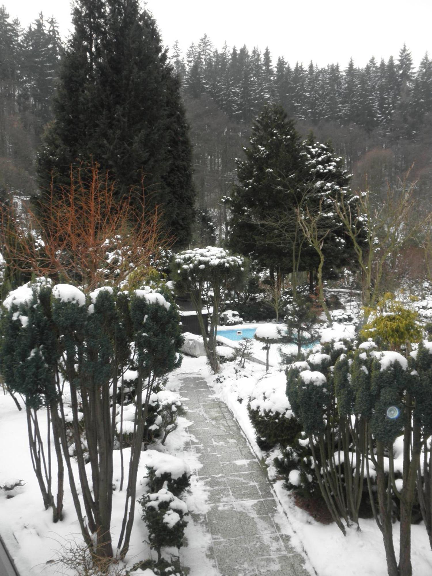 Pension U Kaktusu Karlovy Vary Exteriér fotografie