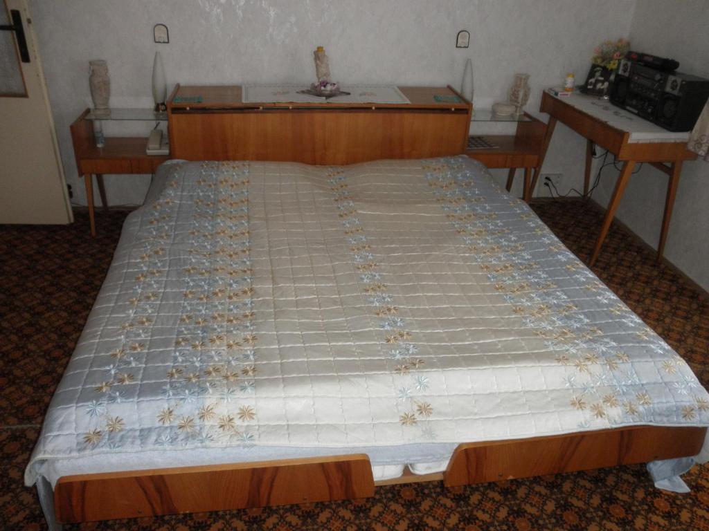 Pension U Kaktusu Karlovy Vary Pokoj fotografie