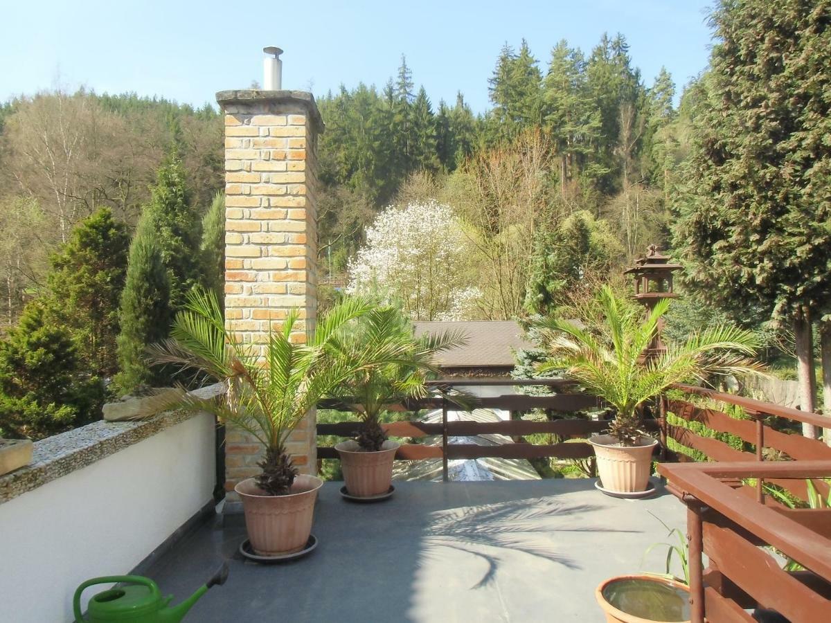 Pension U Kaktusu Karlovy Vary Exteriér fotografie